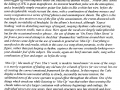 YH1-27web
